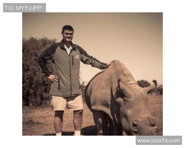 姚明与魔兽的巅峰对决：篮球场上的传奇碰撞与精彩瞬间