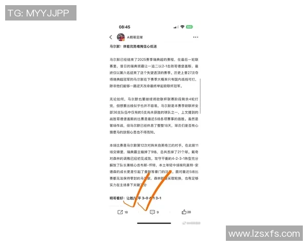 德甲精彩对决曼联凭帽子戏法战胜马竞全场沸腾战术解析